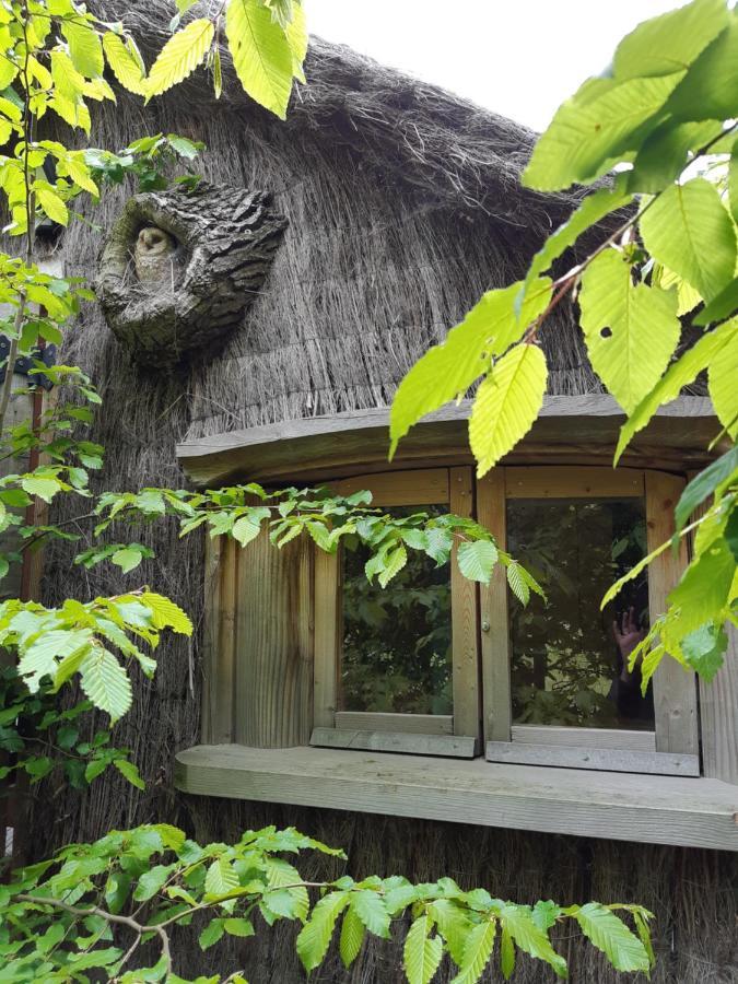 Cabane D'Augustin Saint-Augustin  Eksteriør billede