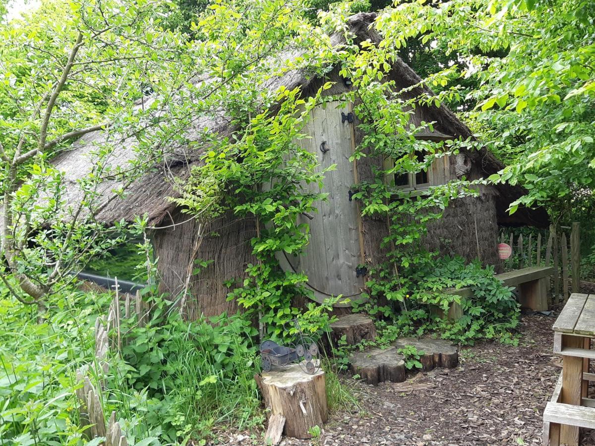 Cabane D'Augustin Saint-Augustin  Eksteriør billede